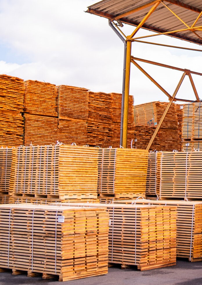 Bardakçılar Orman Ürünleri Biz Kimiz
